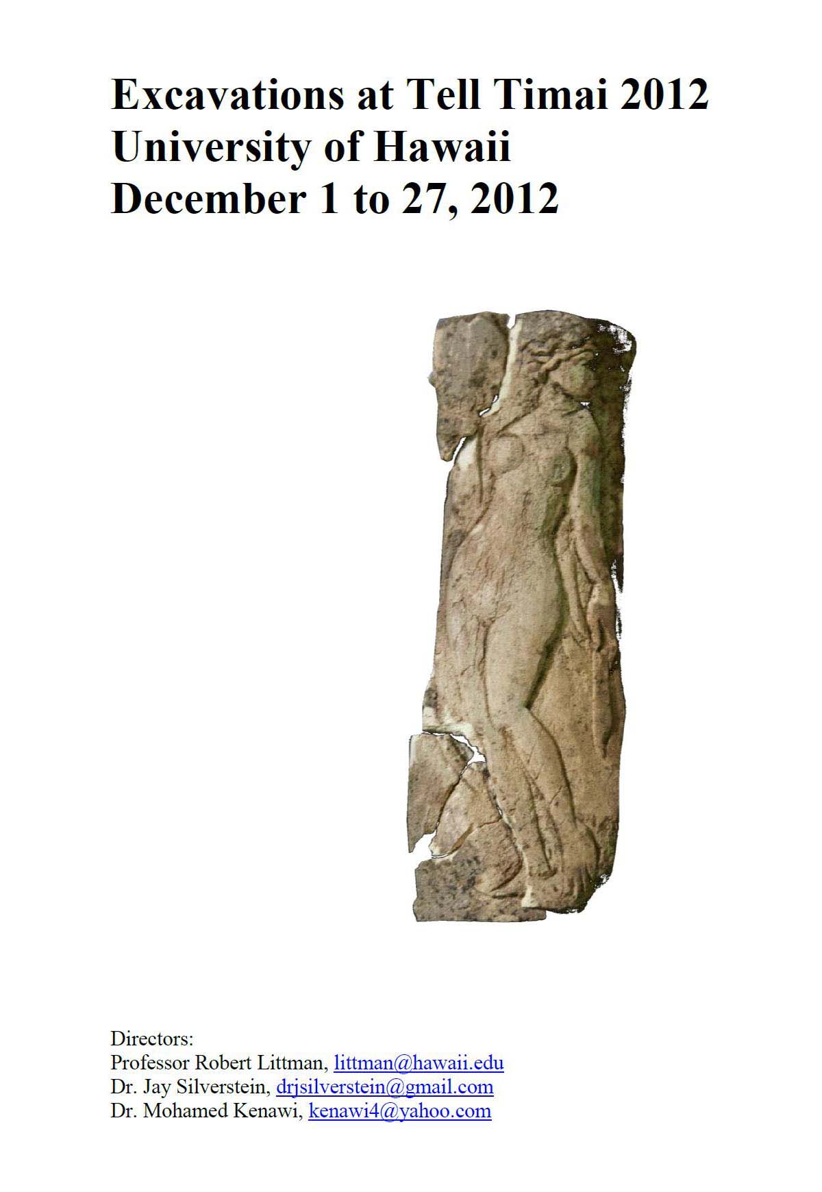 2012 Report