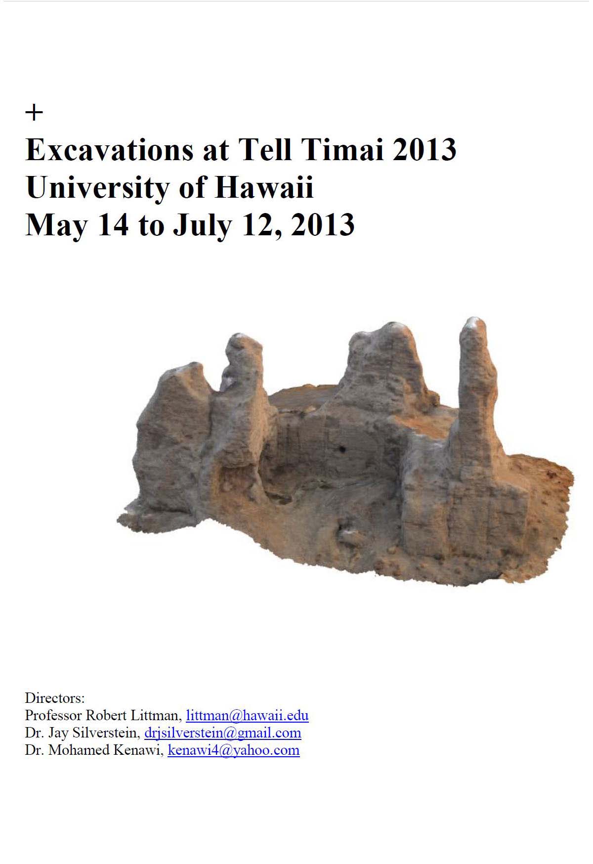 2013 Report